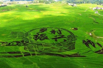 裝配式鋼結構農房將迎來(lái)廣闊發(fā)展空間